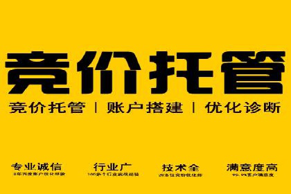 解析百度搜索推广的广告投放策略及效果